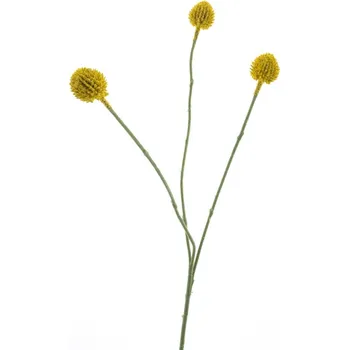 umělá květina umělé květiny, Kraspédie zlutá V58 cm