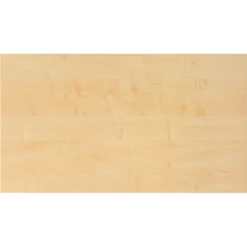 Jednací stůl Vložná police ke skříni s posuvnými dveřmi, š = 1200 mm, 575 x 294 x 16 mm, javor