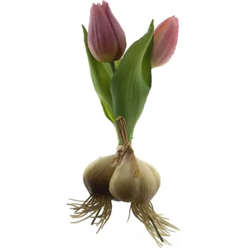 umělá květina umělé květiny, Tulipán 'Sally' svazek s cibulkou růžový V18 cm