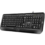 GENIUS klávesnice KB-118 II / Drátová/ Copilot/ USB/ černá/ CZ+SK layout (31310051411)