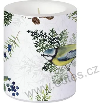 Svíčka IHR MAISIE'S FRIENDS velká dekorativní svíčka sýkorka modřinka a větvičky jehličí
