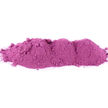 Návnadové aroma Krmiva Hulín Práškový Dip Fluo Švestka Česnek 100 g