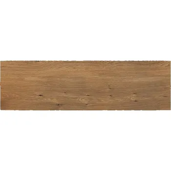 Dlažba EBS Eastwood dlažba 18x60 brown