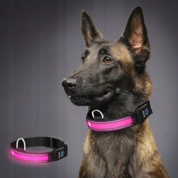 Obojek pro psa Svítící LED obojek pro psa, nastavitelný, USB, režimy svícení L