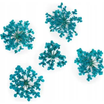 Sušené květiny na nehty Tyrkysové květy pro zdobení MollyLac