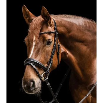 Uzdečka Waldhausen X-Line Favourite Černá FULL
