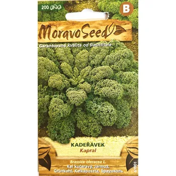 Semeno MORAVOSEED Kadeřávek Kapral 61901