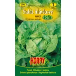 Hobby Garden Salát hlávkový raný Safír 350 ks