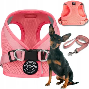 Postroj pro psa NETLAČÍCÍ POSTROJ pro MALÉ psy, prodyšný BENXI + VODÍTKO pastelově růžová S