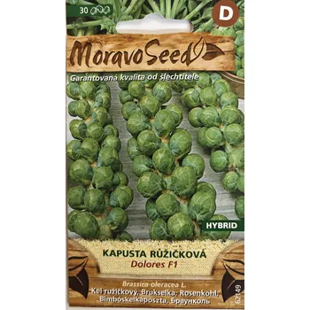 Semeno MORAVOSEED Kapusta růžičková Dolores F1 62149