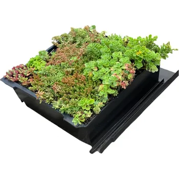 Šablona základní + substrát + vegetace EUREKO GREEN pro šikmé zelené střechy černá