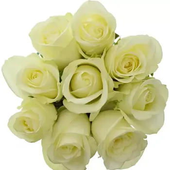 umělá květina Kytice 9 bílých růží SNOWSTORM 70 cm