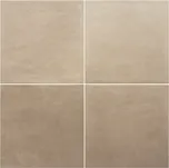 EQUIPE ARES VEN031847 20 x 20 x 1 hnědá 1 m2