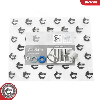 Systém vstřikování Sada na opravy, vstřikovací tryska ESEN SKV 53SKV295