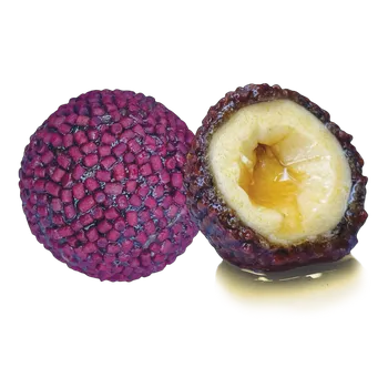 Boilies LK Baits Boilie Nutrigo Pellets Red Halibut - 24 mm 250 ml