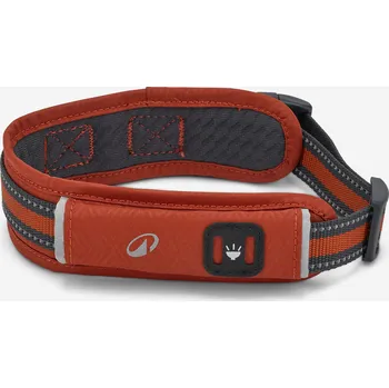 Obojek pro psa CAPERLAN Psí obojek 500 S KAŠTANOVÁ|ORANŽOVÁ|ŠEDÁ
