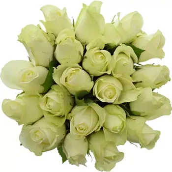 umělá květina Kytice 21 bílých růží SNOWSTORM 60cm