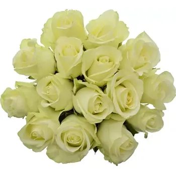 umělá květina Kytice 15 bílých růží SNOWSTORM 60cm