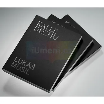Umění Lukáš Musil : Kaple Dechu (s podpisem autora) - Lukáš Musil, Barbora Půtová