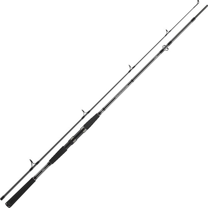 DAIWA Prut SeaHunter X 2.40 m 100 - 200 g 2 díl