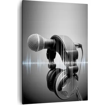 Obraz Obraz na plátně do obýváku, ložnice 50x70 mikrofon, obrazy na zeď canvas