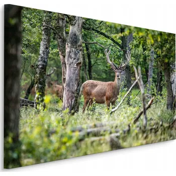 Obraz Obraz do Jídelny Jelen LES Stromy Příroda 70x50