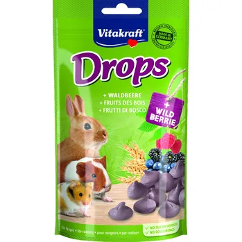 Krmivo pro hlodavce Vitakraft CHOVEX Vitakraft Drops lesní ovoce 75g