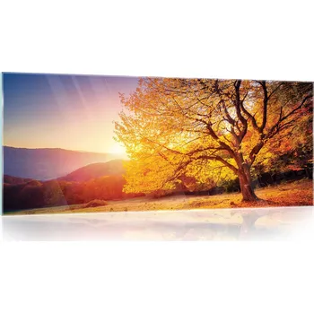 Obraz Skleněný obraz na skle ZÁPAD SLUNCE strom 125x50