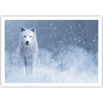 Obraz Plakát na zeď bez rámu 100x70 bílý vlk obraz plakáty obývací pokoj ložnice