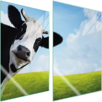 Obraz Krájecí deska TMK ArtDeko sklo 2 ks