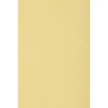 Papír pro tiskárny Barevný kartonový papír 250g krémový - 10 listů SRA3