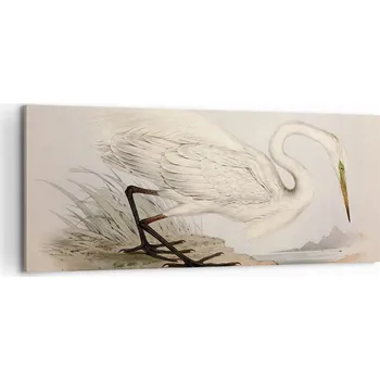 Obraz Foto obraz na plátně canvas 100x40 pták obývák ložnice na zeď velký