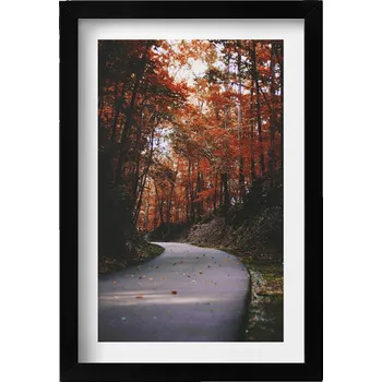 Obraz Závěsný obraz rámeček černé barvy - Prázdná cesta v podzimním lese 20x30 cm