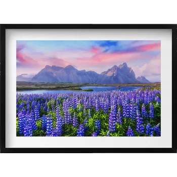 Obraz Ozdobný nástěnný obraz v rámu s grafikou Levandulová pole - Island 70x50 cm