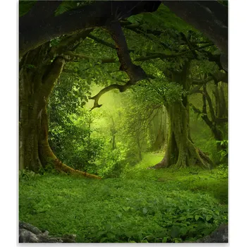 Kuchyňské prkénko Skleněná Ochranná Deska a Krájecí Prkénko | Indukce, Sporák ds-0420