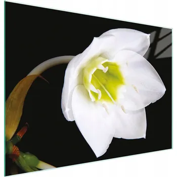 Kuchyňské prkénko Krájecí deska TMK ArtDeko sklo 2 ks