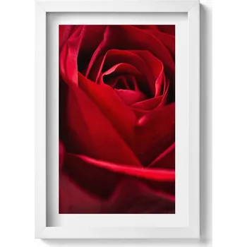 Obraz Obraz v bílém rámu na zeď Zblízka na červené okvětní lístky růže 20x30 cm