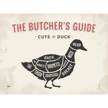 Obraz Cedule The Butchers Guide - Cuts of Duck