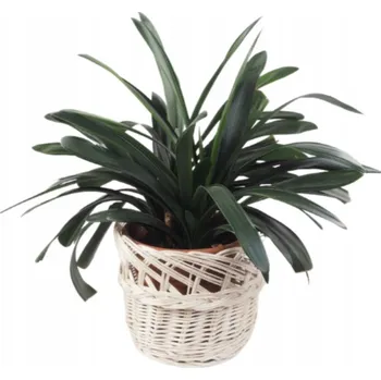 Květináč Obal na květináč proutěný Bílý Ruční práce Ekologický 38 cm