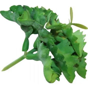 umělá květina Ozdobný sukulent umělá rostlina dekorace 13 cm