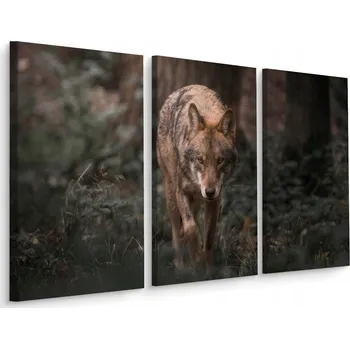 Obraz Obraz Triptych VLK Les Příroda Krajina 3D 60x40