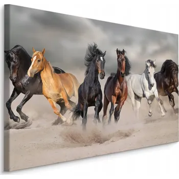 Obraz Obraz Canvas Cvalající KONĚ 3D Písek 30x20 cm