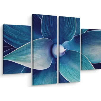 Obraz Čtyřdílný obraz ROSTLINA Pohled shora 3D 80x60