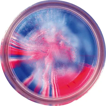 Nástraha Těsto na pstruhy Berkley PowerBait® Trout Bait Natural Glitter Česnekové 50g Varianta: PowerBait® Trout Bait Natural Glitter Garlic 50g Captain America