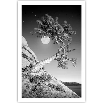 Obraz Obraz plakát do obýváku ložnice 61x91 krajina plakáty na zeď bez rámu