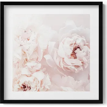 Obraz Moderní nástěnná dekorace obraz v černém rámu Květiny pivoňky 50x50 cm