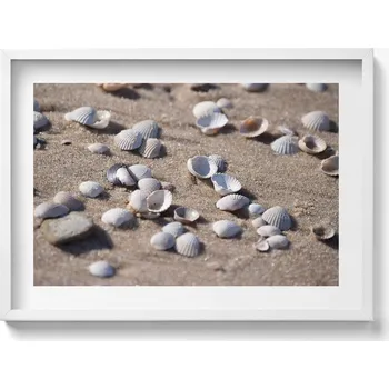 Obraz Nástěnný obraz v bílém rámu, dekorace interiéru - Mušle na pláži, 70x50 cm