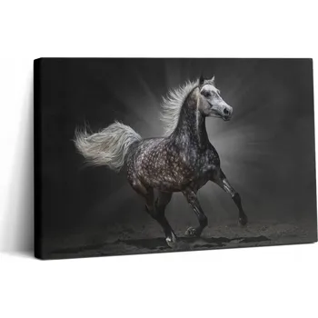 Obraz Fotoobraz do pokoje, jídelny na zeď - Galopující kůň 30x20 cm