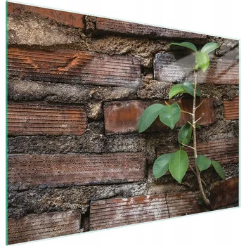 Kuchyňské prkénko Krájecí deska TMK ArtDeko sklo 1 ks