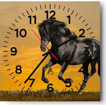 Hodiny Kuchyňské nástěnné hodiny 30x30 Zvířata Skleněné hodiny do obýváku Moderní Tiché